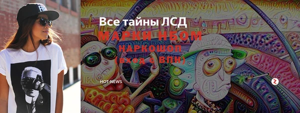 ПСИЛОЦИБИНОВЫЕ ГРИБЫ Баксан