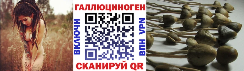 Галлюциногенные грибы мухоморы Корсаков