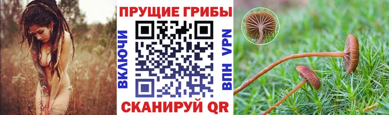 Галлюциногенные грибы мухоморы  Корсаков 